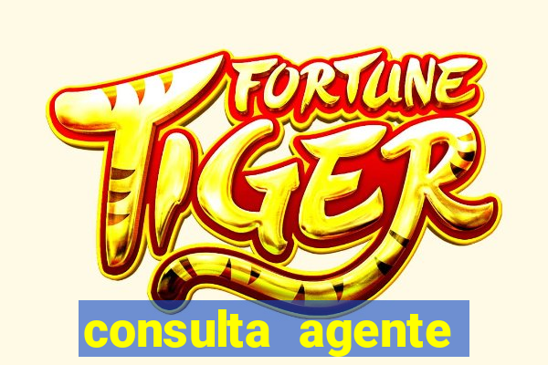 consulta agente autuador sp